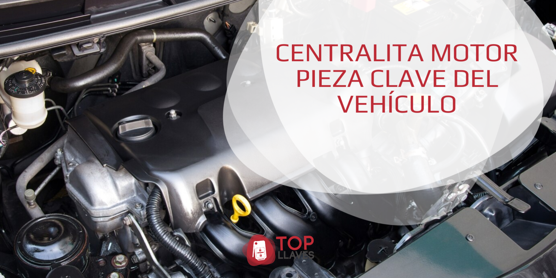 centralita motor comprar importancia pieza clave consejos segunda mano desguace