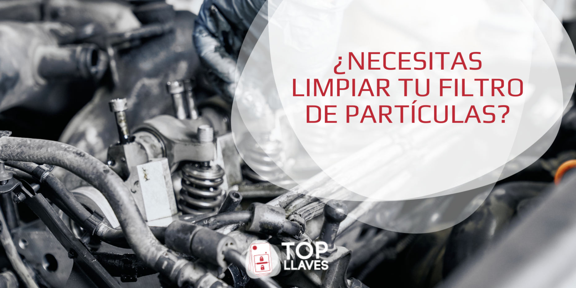 limpieza profunda filtro de particulas fap dfp